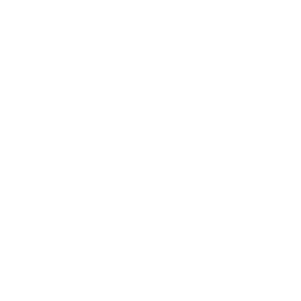 Abundant Life